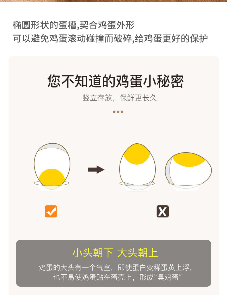 双层鸡蛋盒