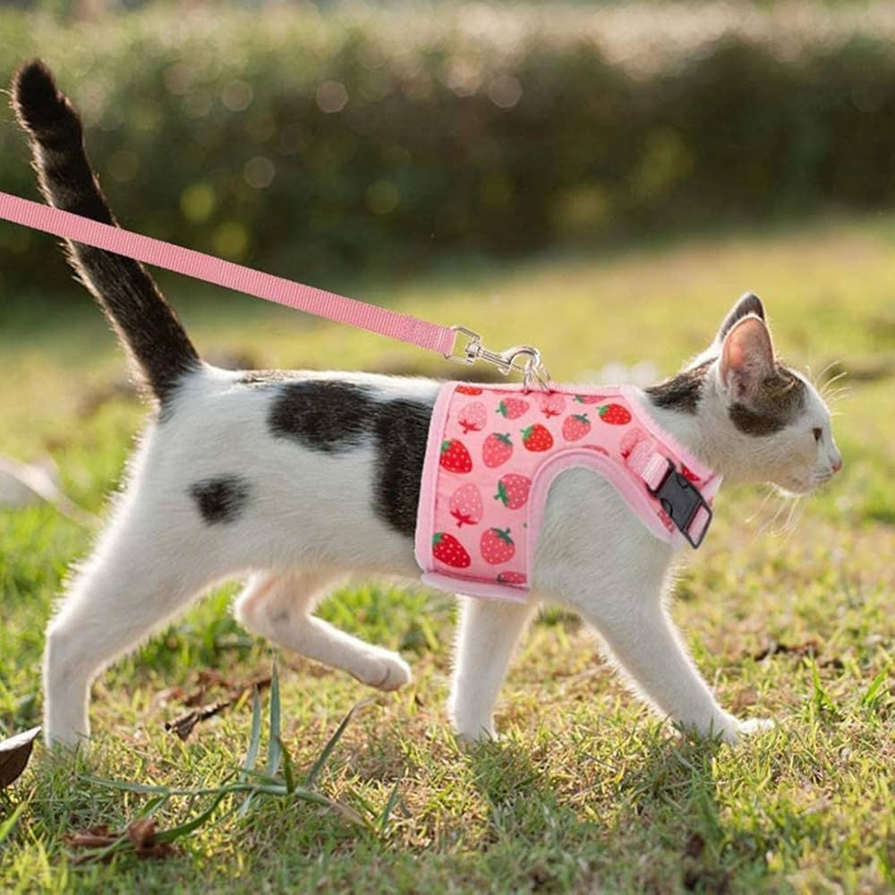 Pink Cat Harness with Leash Escape Proof Mesh Puppy Outdoor Walking Harness for Small Pets Chihuahua Teddy Cats Clothes