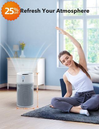 New Arrival! Limited Restock! 🔥 TaoTronics Quiet Air Purifier