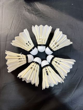 3 shuttlecocks in hand showing feather spread and cork base - durable goose feather construction