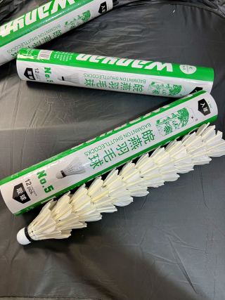 Single goose feather shuttlecock on badminton racket - professional flight grade close-up