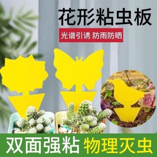 Butterfly trap in white flower pot - insert and catch, safe non-toxic physical pest control