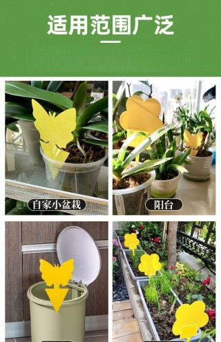 Multiple butterfly and sunflower traps in various pots - showing both designs in use together