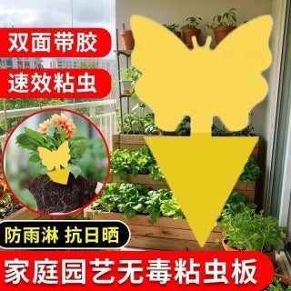 Yellow butterfly sticky trap in cucumber greenhouse - strong adhesive, UV-resistant, waterproof callout