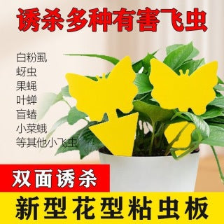 Hand peeling protective film off butterfly trap - double-sided adhesive revealed, ready to use