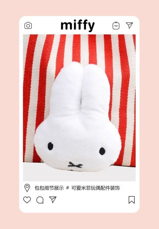 Reversible design demo - stripe side with Miffy plush vs clean navy canvas wordmark side