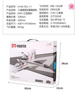 Remote Control Airplane